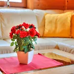 Ferienhaus With Private Garden Wildschoenau