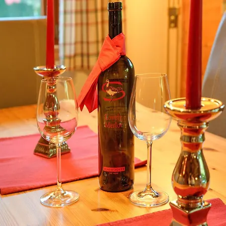 Wildschoenau With Private Garden Dom wakacyjny