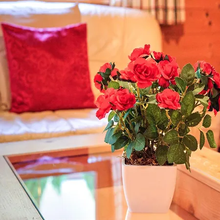 Wildschoenau With Private Garden Нидерау